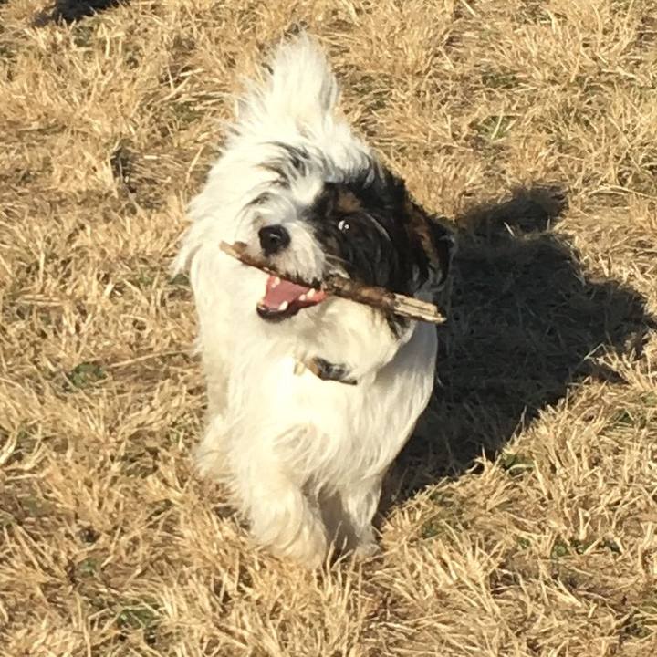 0c9d41fa c41e 4a00 8d3e 5238e5f6faf9 1513895284096