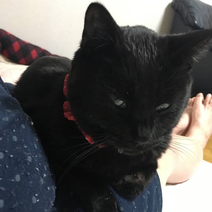 0c9d6805 e4f6 400d 9cba 15607b5f4409 1552050446984