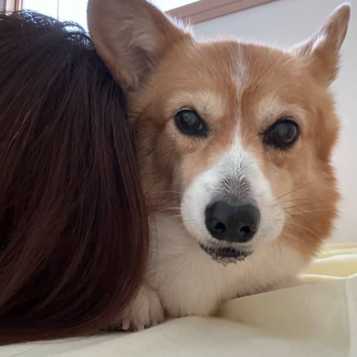 0c9d6e04 418d 4507 9037 cd89faf15682 1753182804070