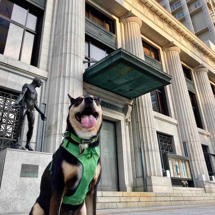 0c9d781a dc35 4da0 adcc c0f6d56614a2 1598760973434