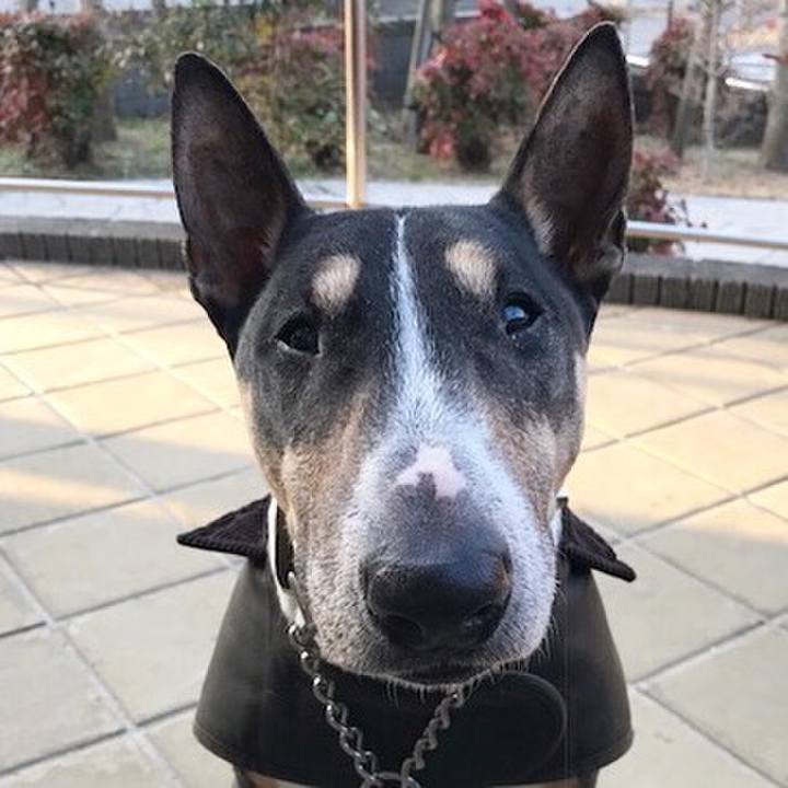 0c9d7ddc 36d6 48a3 9019 cb3550089cda 1516523396037