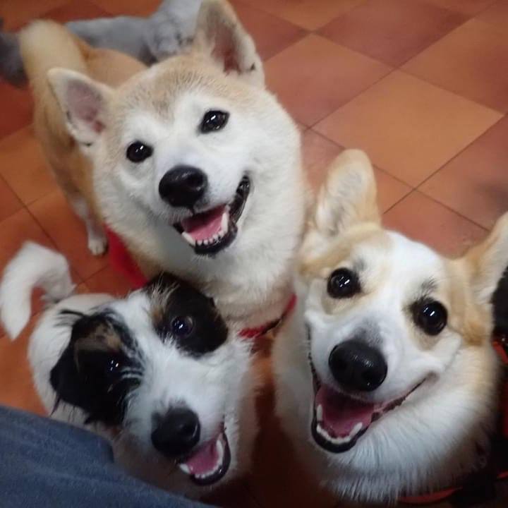 0c9d9fdb a88f 48d1 88c6 75123585e633 1730497122916