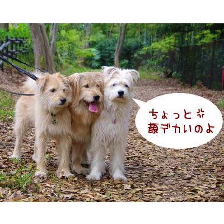 0c9da03c 3b8e 419b a202 4a1be22e435f 1549020800179