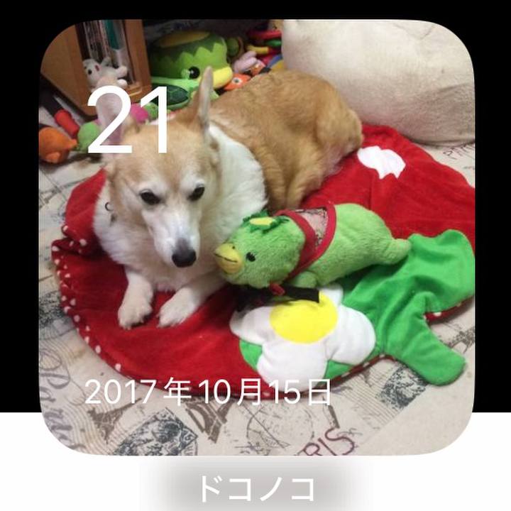 0c9dbc5d e507 445d a131 db3b38f848f1 1761006559855