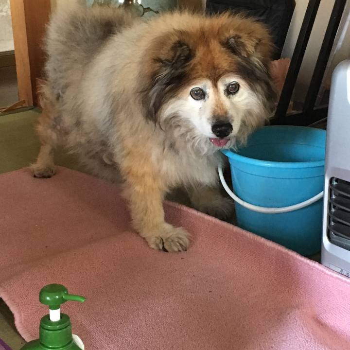 0c9e050a 0520 4ae3 b525 e3e7b06a1efd 1576529350539