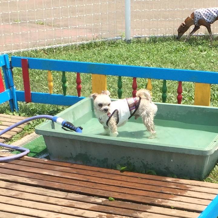 0c9e12ab 4e31 4718 aa84 154a69113dc2 1531644690590