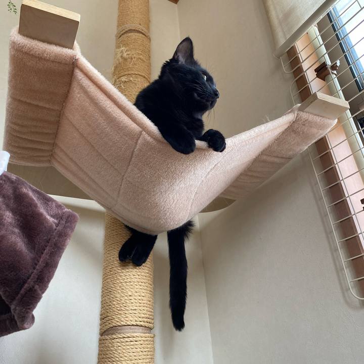 0c9e16e0 e478 4c82 b65c d3205038a9a8 1649815903192