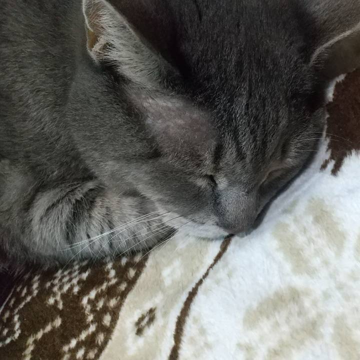 0c9e4175 4f89 43af a935 8ef44544be0d 1668936562737