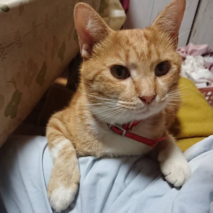 0c9e4c2d 2dda 47ad 8cf7 dda8314aa736 1570180410735