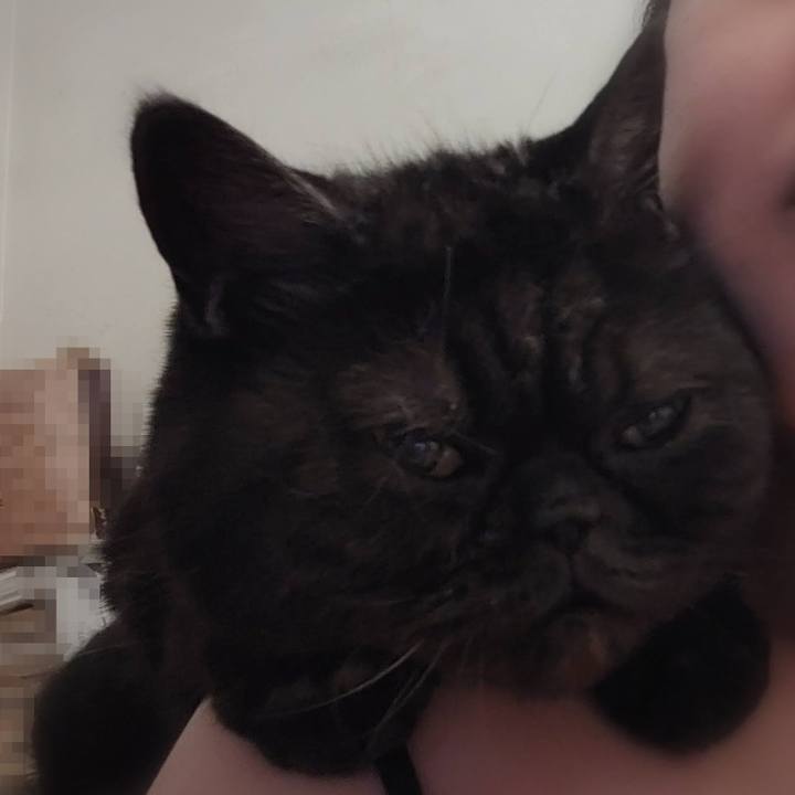 0c9e6d51 b066 458c 9719 2bfeb469eb2e 1617501442649