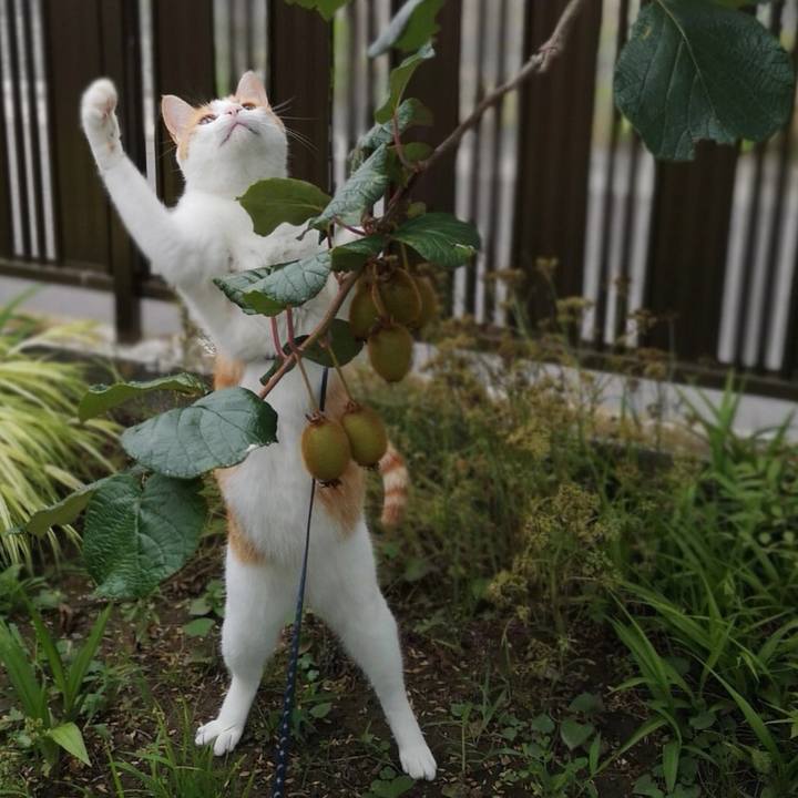 0c9eb8eb 9a5c 4b18 aae2 e0f87b8cc0ab 1531033597718