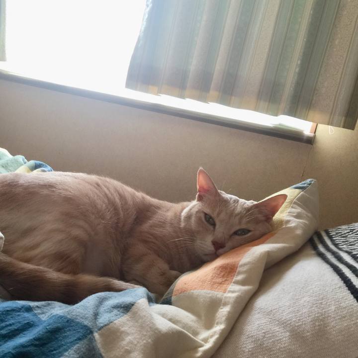 0c9ec93f 10d8 4206 a5d1 49bbbe218d67 1591741107560