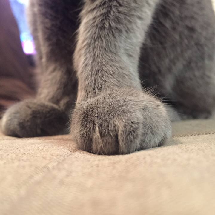 0c9ed94c 2088 4e70 aef5 747283a96c71 1552000216541