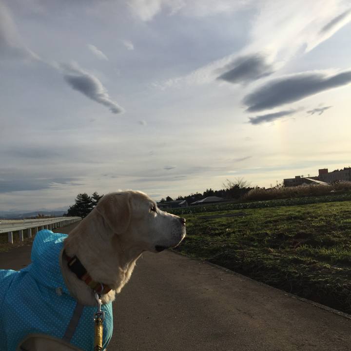 0c9eea7f c601 4865 9b57 5e5e46003749 1544944000104