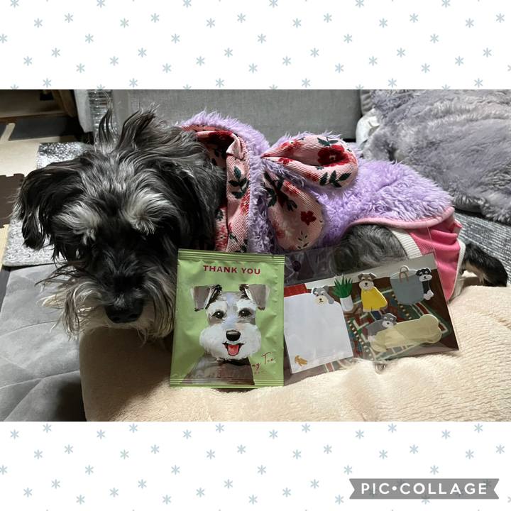 0c9eec0f c3ae 429f 9630 a67f26acea87 1770037952397