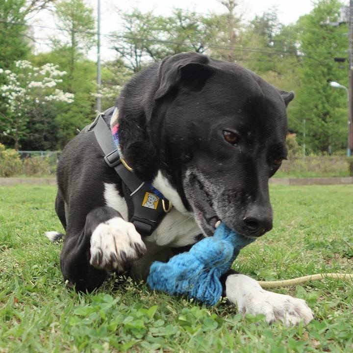 0c9eedd5 b6c4 42df 93dc 5fbdbff5b53d 1650244674214