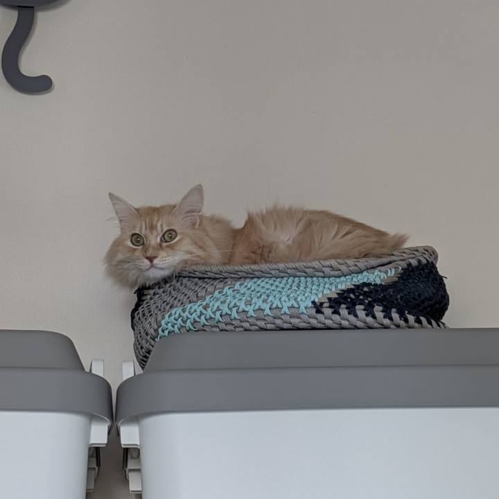 0c9f051d 6a15 4afc b06e 1c6ccff38bbb 1759105158711