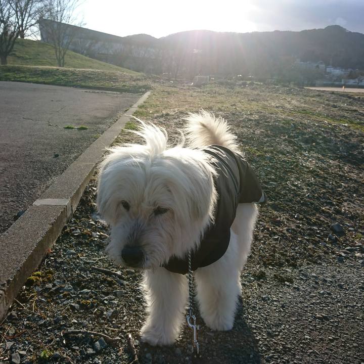 0c9f3722 f2a1 4830 a3e4 7c5ee49b07da 1585041528248