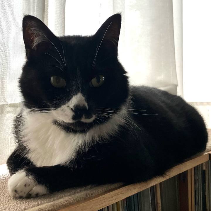 0c9f3a7f 2c94 438a a817 d27729bc2bc8 1719977563797