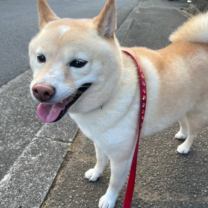 0c9f6107 a750 430e 84a5 5ea2da6fcc08 1691016861343