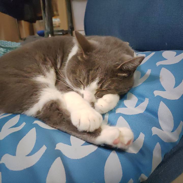 0c9f84d3 3f99 48e2 9350 9b3bdad53994 1711370633862