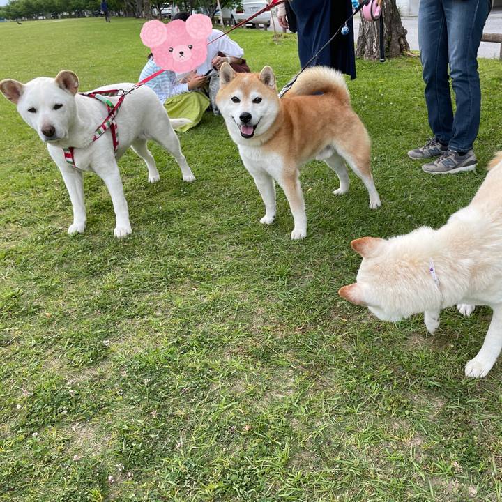 0c9f87e6 bde4 4740 9a72 4496317b45eb 1651838232295