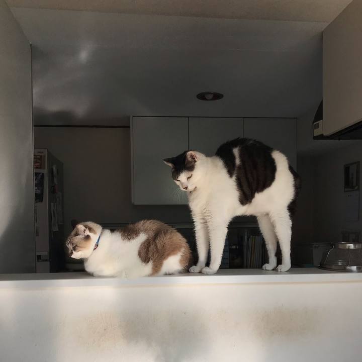 0c9f9e4d 4719 49fb a9fd e7898d62ed28 1556322637373