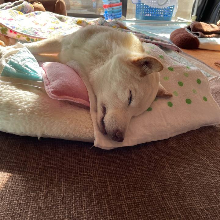 0c9ff4e9 0843 4637 9eb9 4f8bd78ccf06 1671511391109