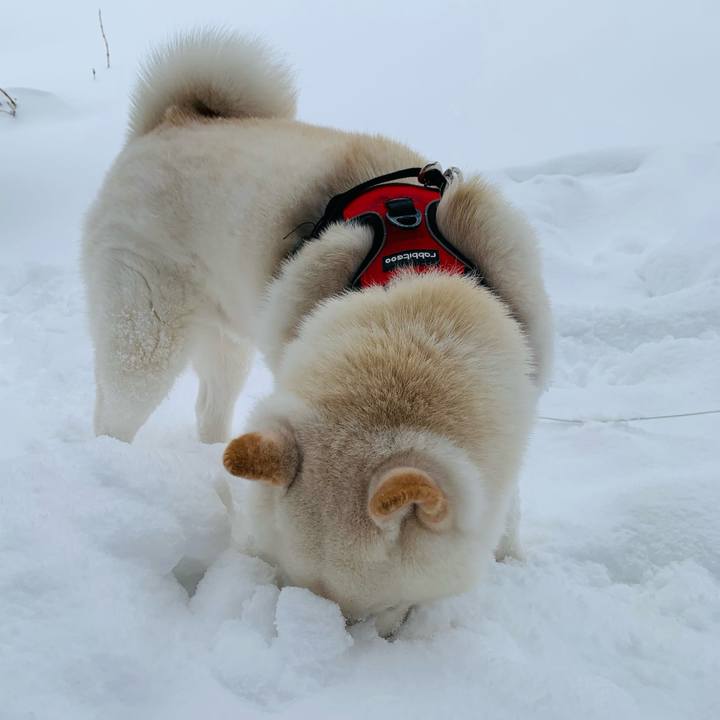 0ca02d6a aa0e 4bff b5e5 ffc184bd27c1 1611433502439