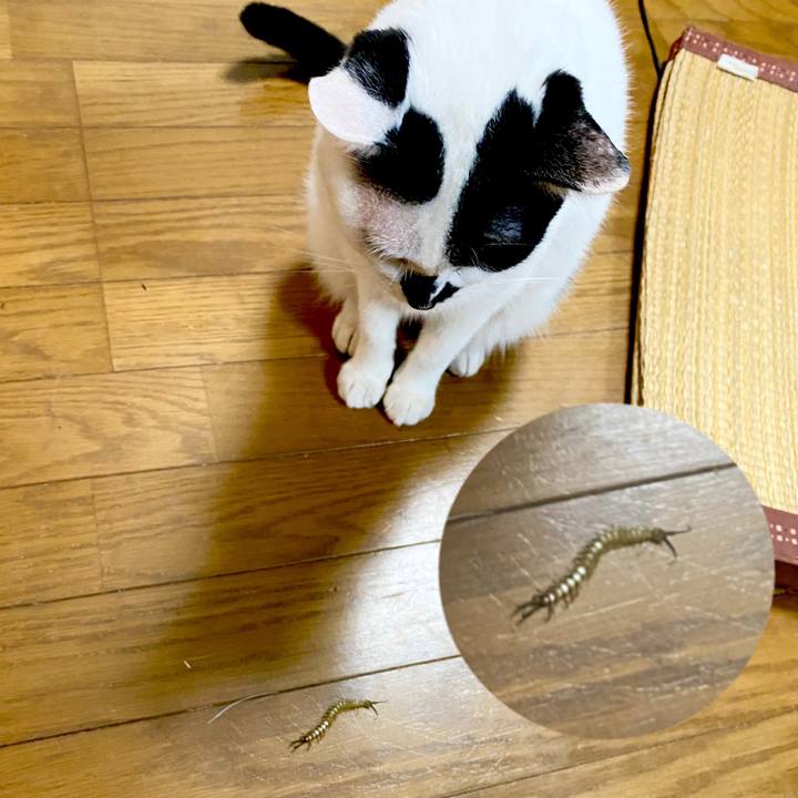 0ca05d57 1cb3 4fcc 9131 808e6cacb6f8 1631054321829