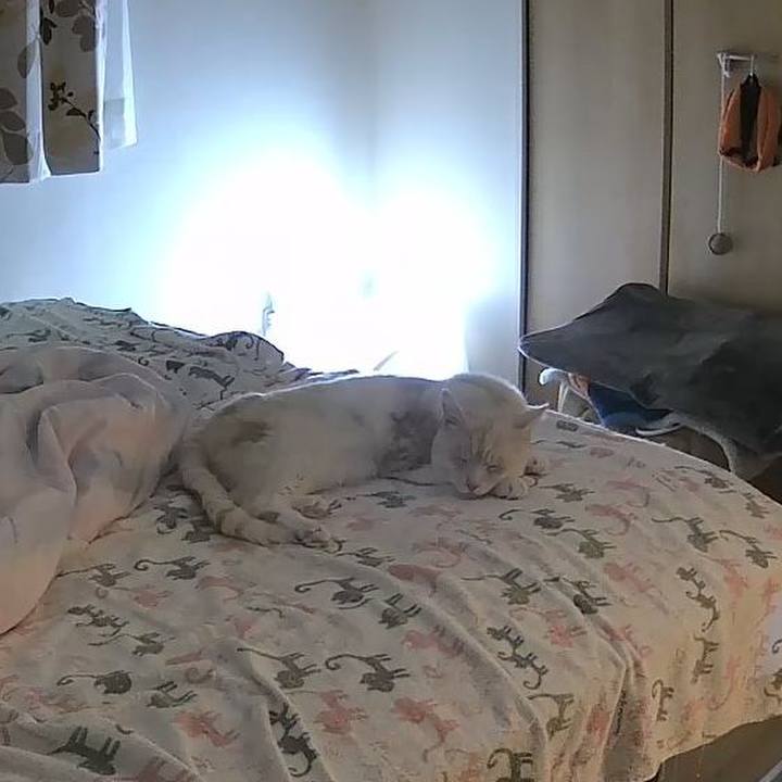 0ca06139 27ef 4a49 abb2 3b6fcbb354a1 1716173907948