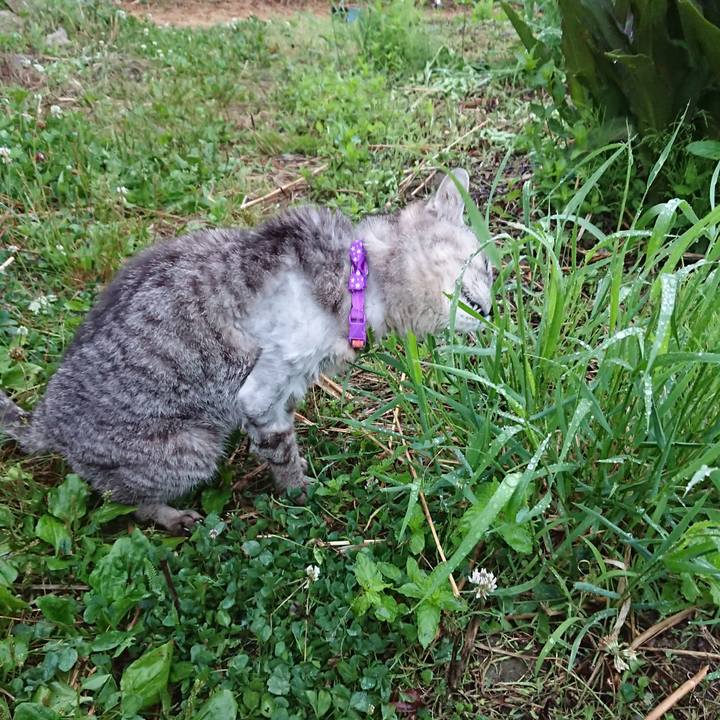 0ca08ea8 91c5 40c2 bf9f 21aee60b7849 1592855308326