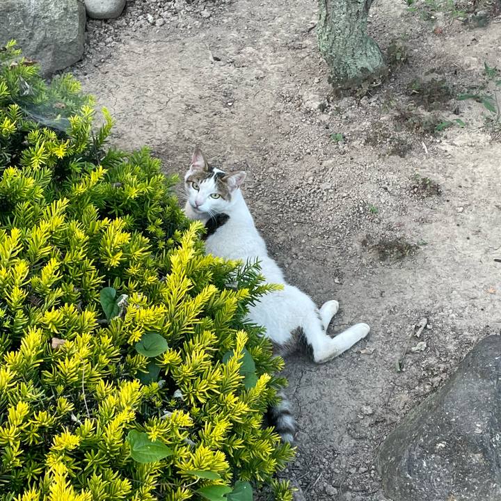 0ca0cdc9 4701 49ae a7c6 b449a75b74ee 1656145981147