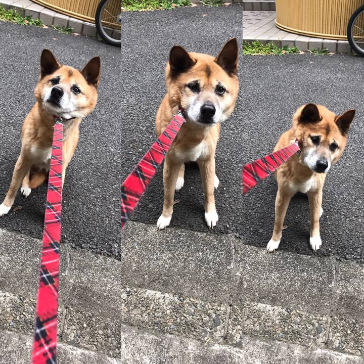 0ca0dca3 4286 42f3 8823 d6a0fa8832cb 1570050465512