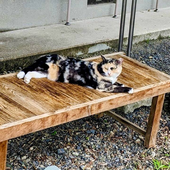 0ca0dca3 da68 4354 814f 1926cd97abda 1758329688423