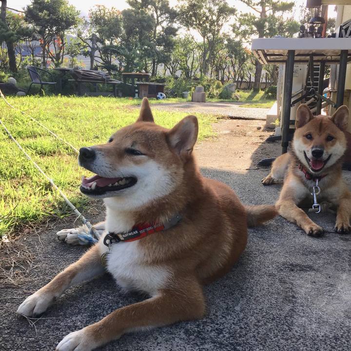 0ca0e0d6 5683 4222 b7e0 03016d18a7ff 1537700532983