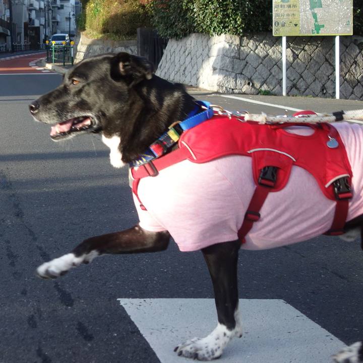 0ca114e0 8ffb 460c 92fc 627ae06356ed 1670634549193