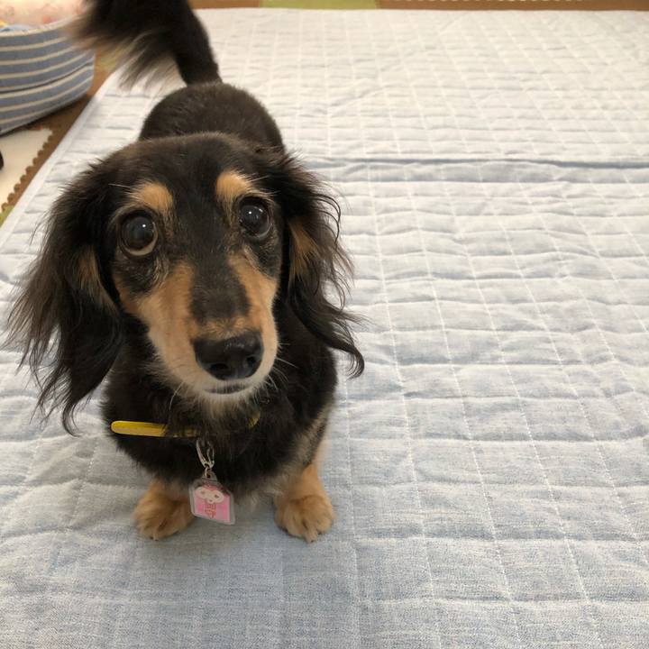 0ca13dee 517e 4e26 afb9 088f961d1ec4 1599778333276