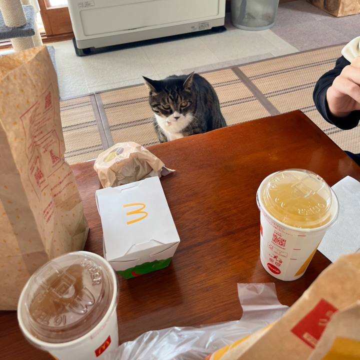 0ca156e5 fcf4 41f5 b344 82fe6bd6155a 1770511440664