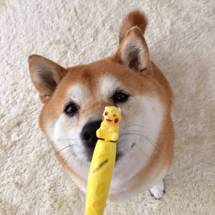 0ca19178 35fe 4a6c 9aec b8c335308417 1560141133183