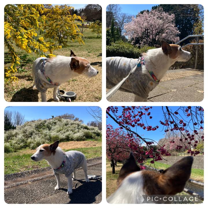 0ca1cb6e 37a5 47f2 acf1 3dbc4fabb227 1679359263557