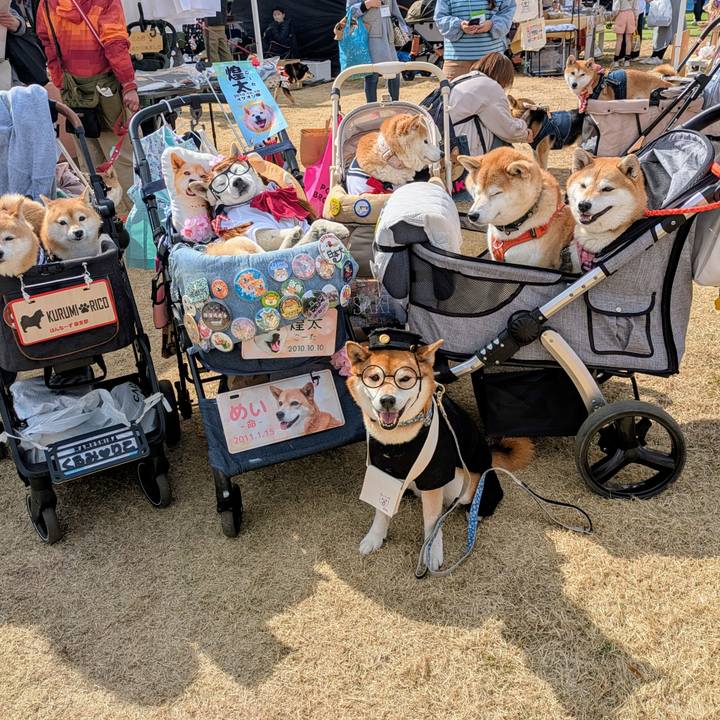 0ca1ebe3 69fe 412c b1cb 1709855907e8 1772518699619