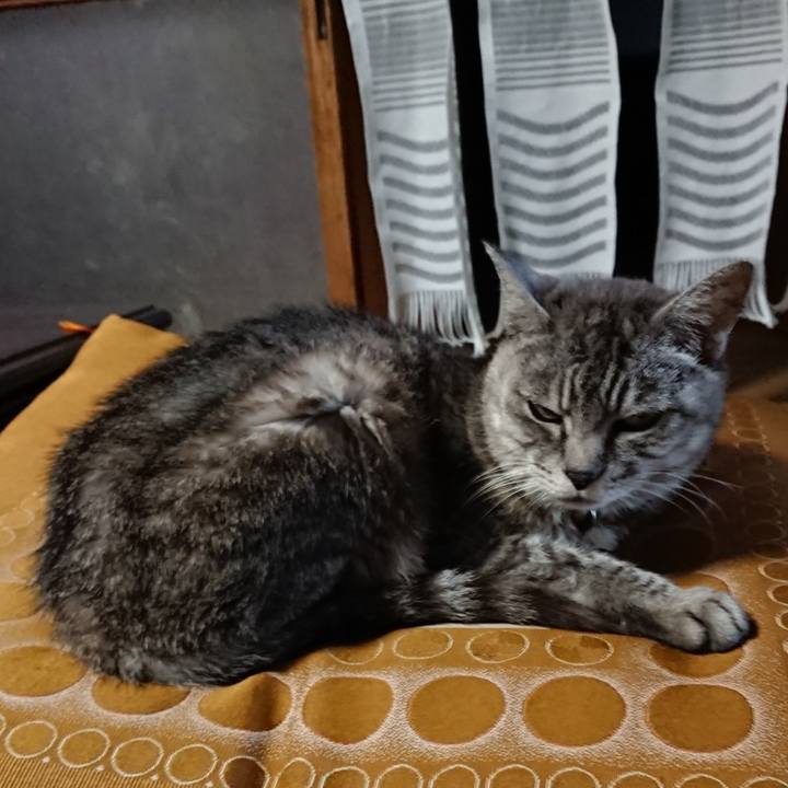 0ca21fbe 2732 454a ba02 f63bafb56e5e 1568366170117