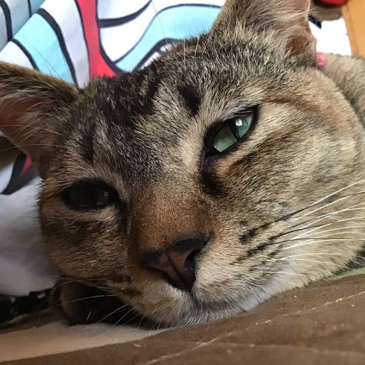 0ca226b5 8889 43eb 8437 f5aabd98c962 1588846960438