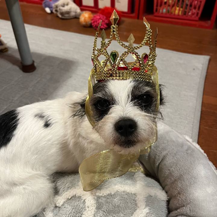 0ca24520 b419 4c96 a8c0 4ab77491dd84 1733976742515