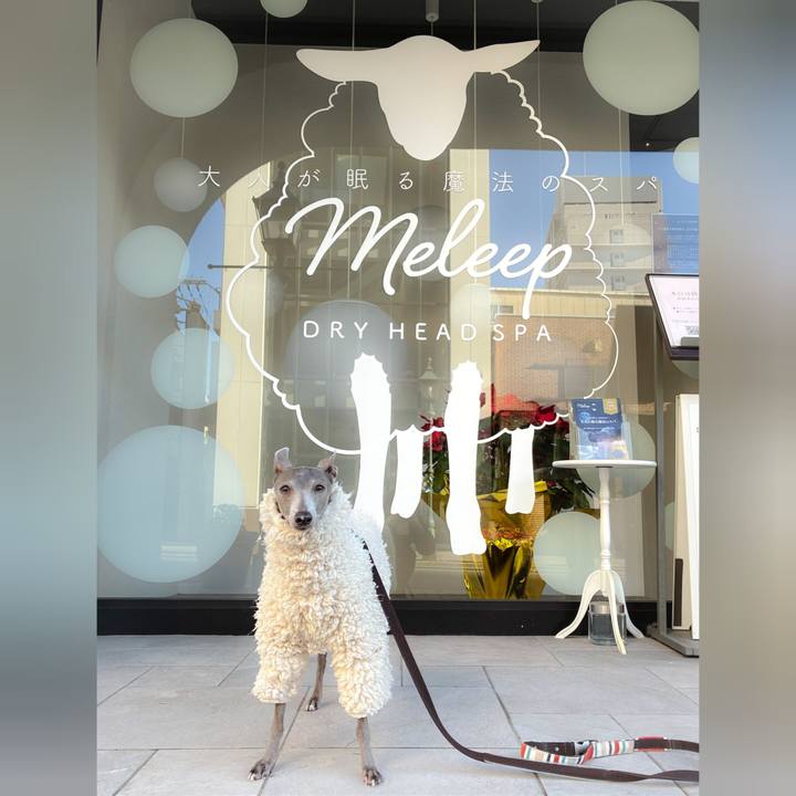 0ca282a4 9bf8 4140 939b 407379c894a3 1767863007849