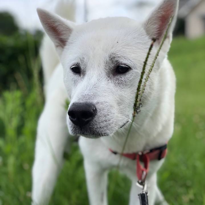 0ca29370 5c60 4719 a845 206c43baaad0 1528763576787