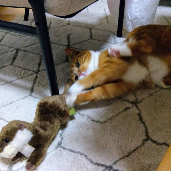 0ca296c3 a72d 4ca0 969b 65d5b78045fd 1748082547266