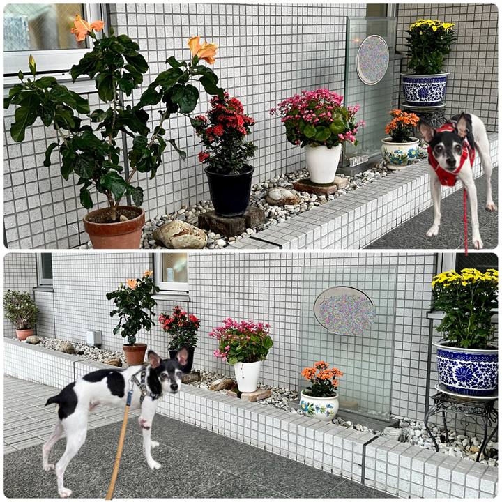 0ca2b53e 4670 4d4d 9c11 2891fbcf145f 1668031147119