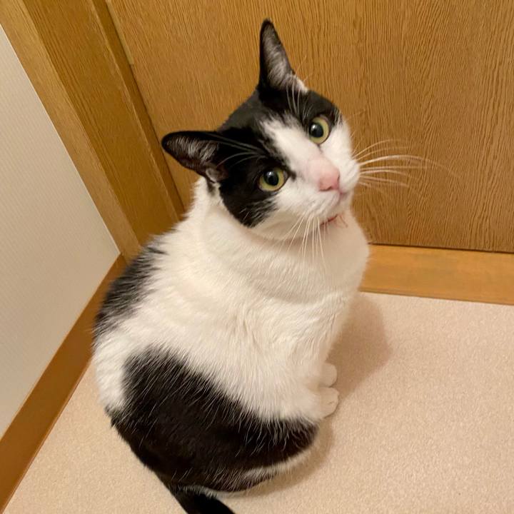 0ca2c9b2 cdb8 4fb1 83bb 98d2b97fa841 1700735953070